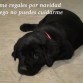 CONSEJO PARA NAVIDAD